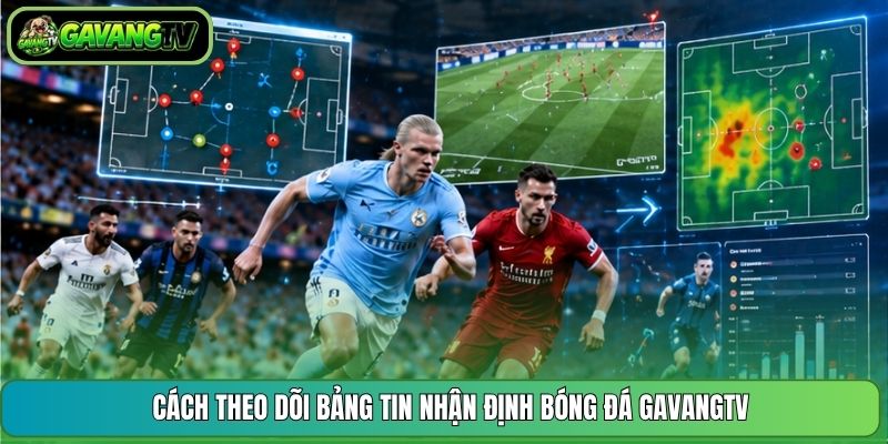 Cách theo dõi bảng tin nhận định bóng đá GavangTV